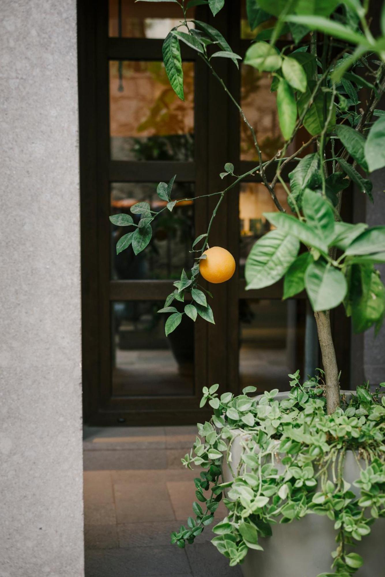 Hotel Apapacho Boutique Σαν Μιγκέλ ντε Αγιέντε Εξωτερικό φωτογραφία